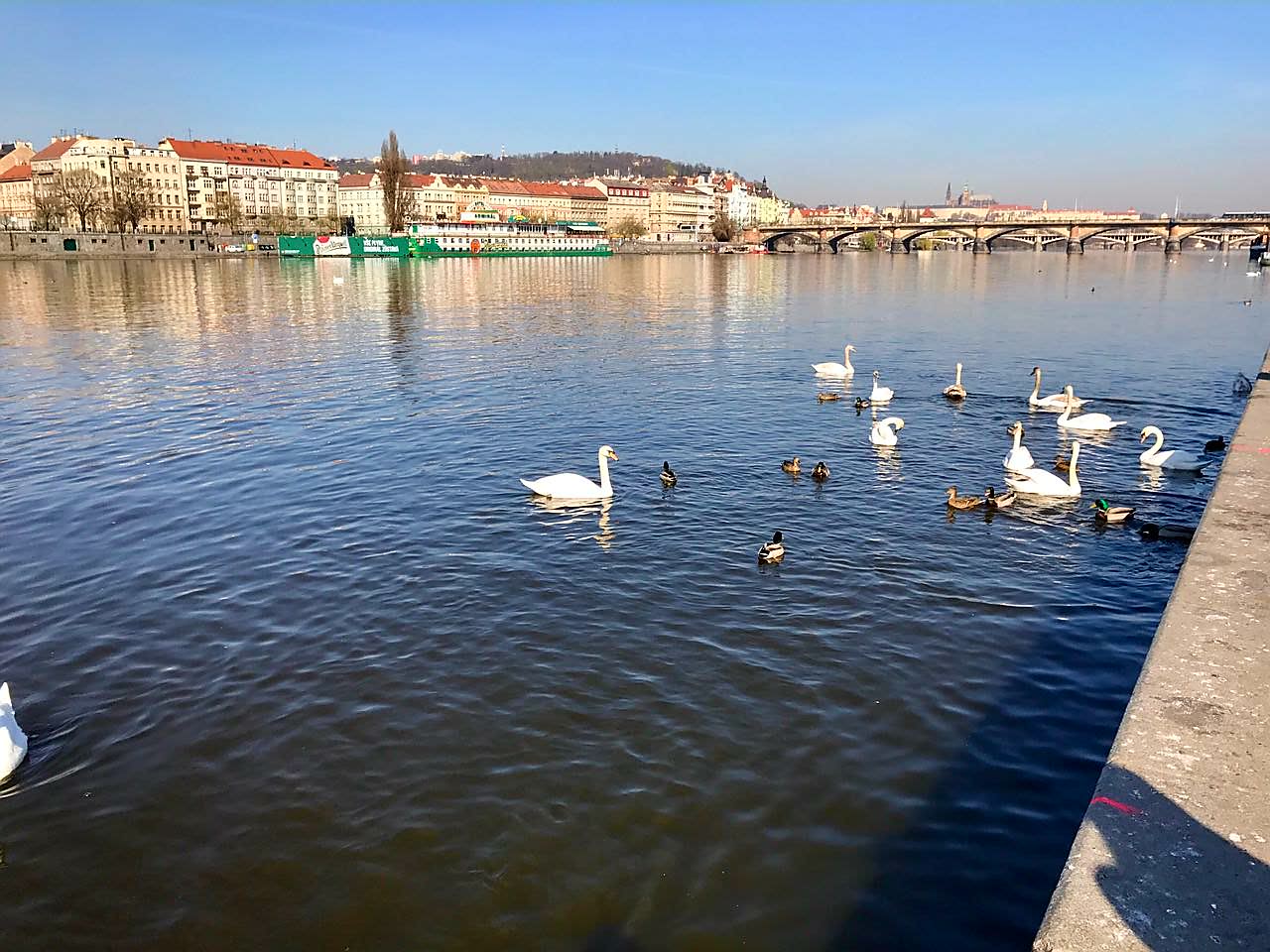 Thomas&Co - Медицинское качество. - Бодибилдинг форум AnabolicShops