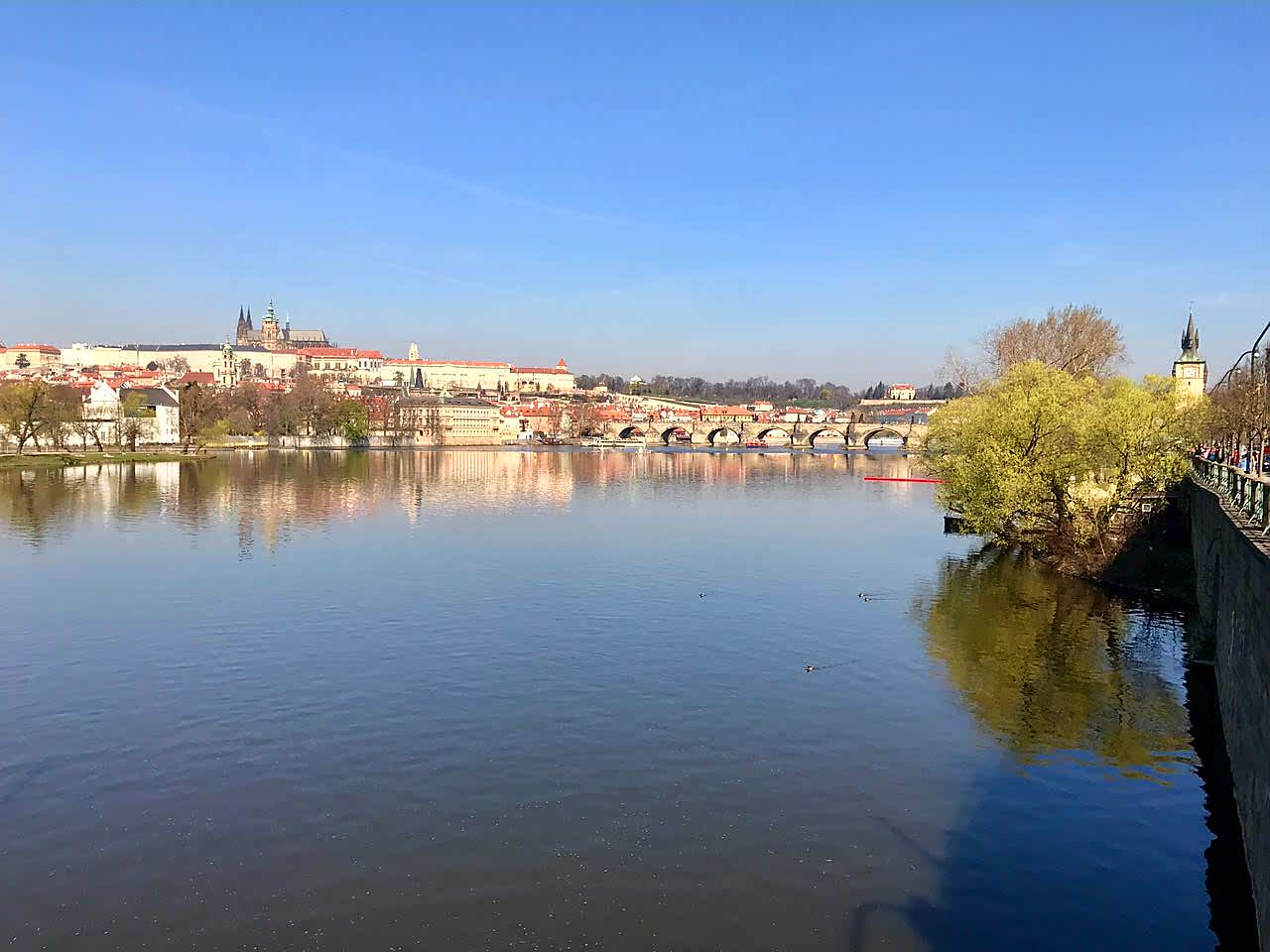 Thomas&Co - Медицинское качество. - Бодибилдинг форум AnabolicShops