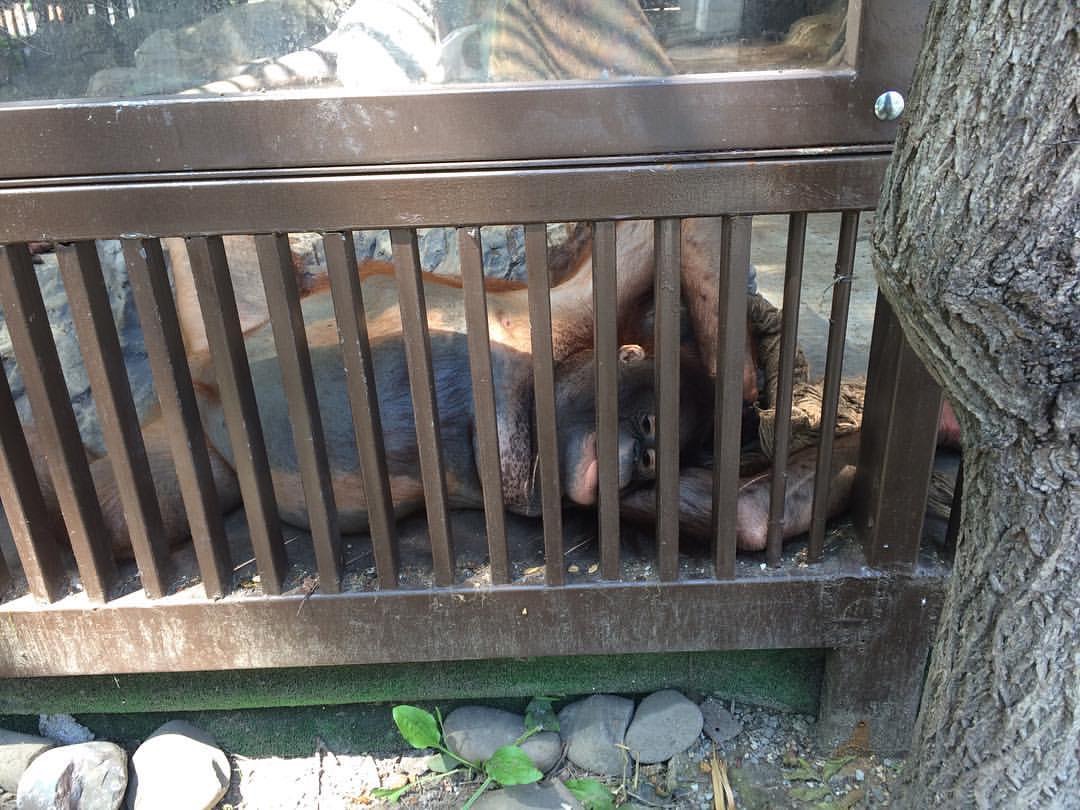 Список тех кто едет на ЧР в Краснодар. - Бодибилдинг форум AnabolicShops