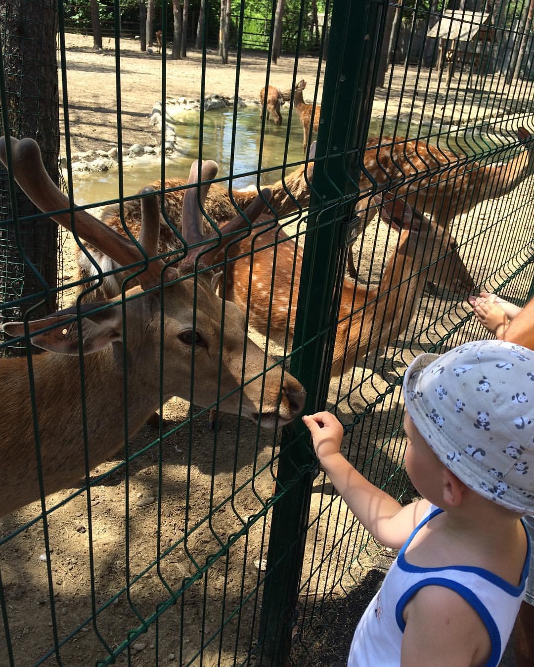 Список тех кто едет на ЧР в Краснодар. - Бодибилдинг форум AnabolicShops