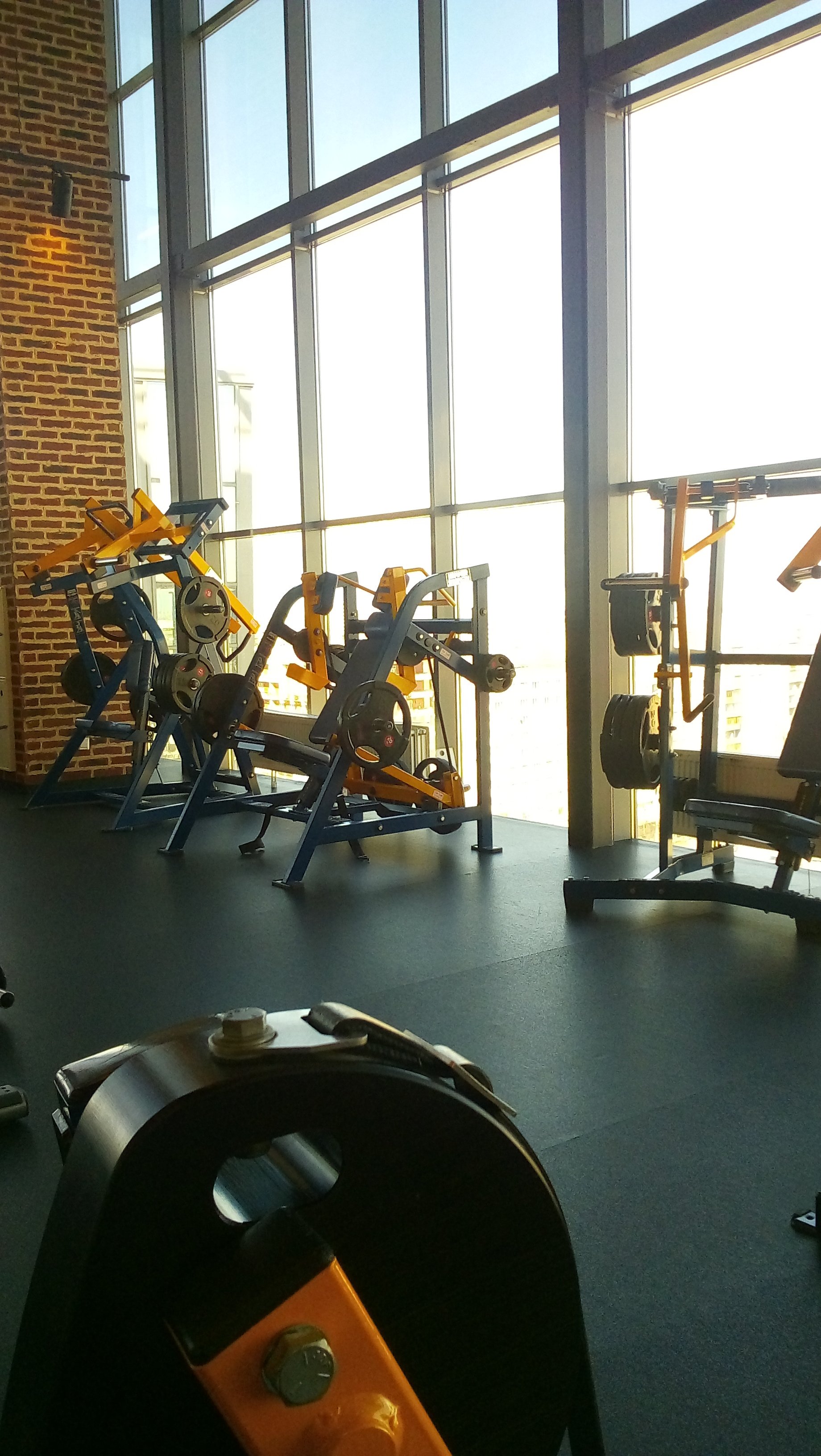 Курилка- разговоры на любые темы - Бодибилдинг форум AnabolicShops