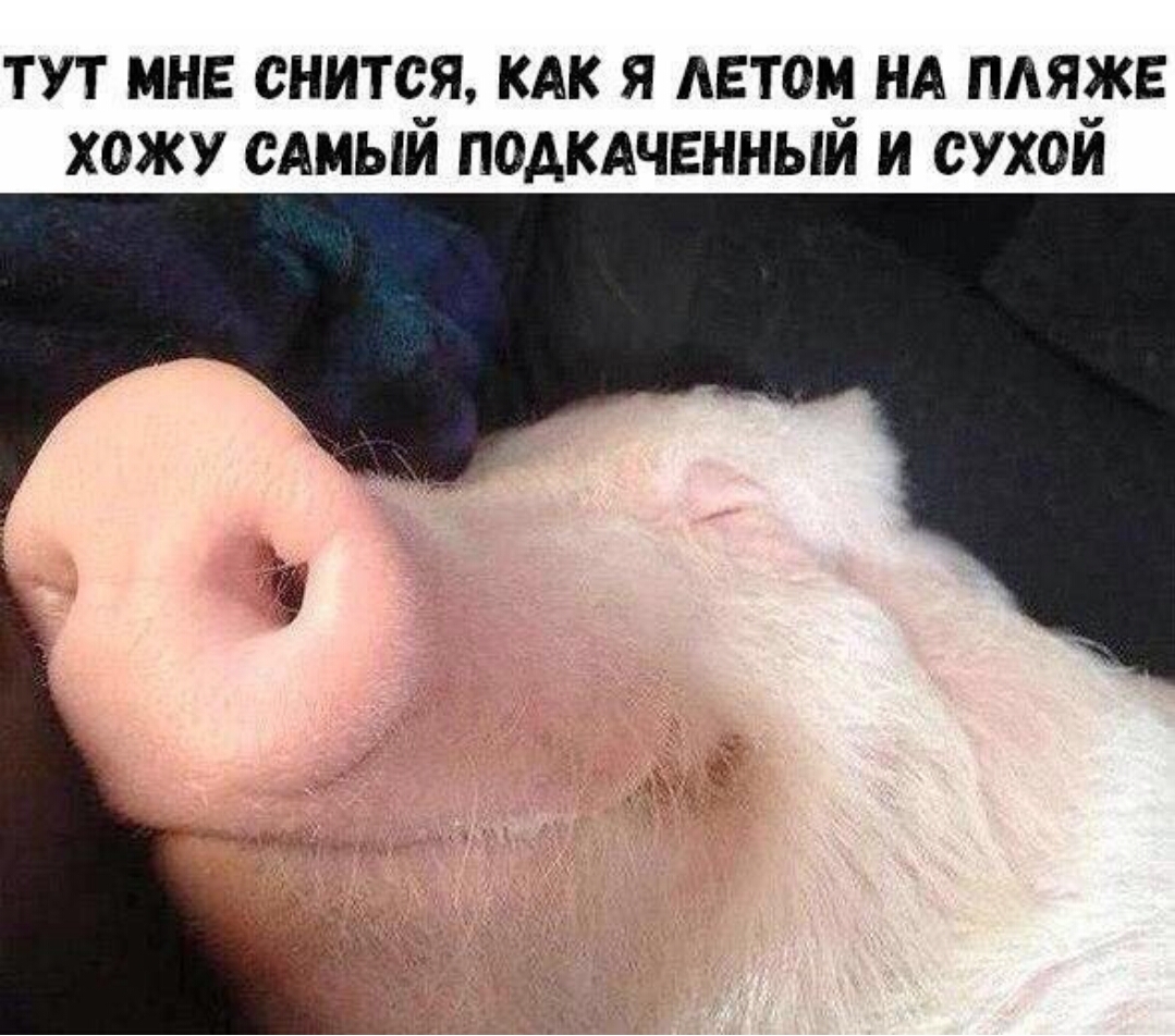 Курилка- разговоры на любые темы - Бодибилдинг форум AnabolicShops