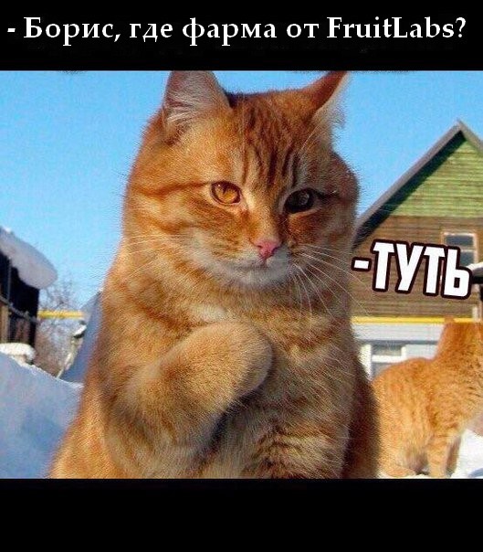 Fruitlabs.org   Всегда отличные цены, отменное качество и быстрые отправки ! - Бодибилдинг форум AnabolicShops