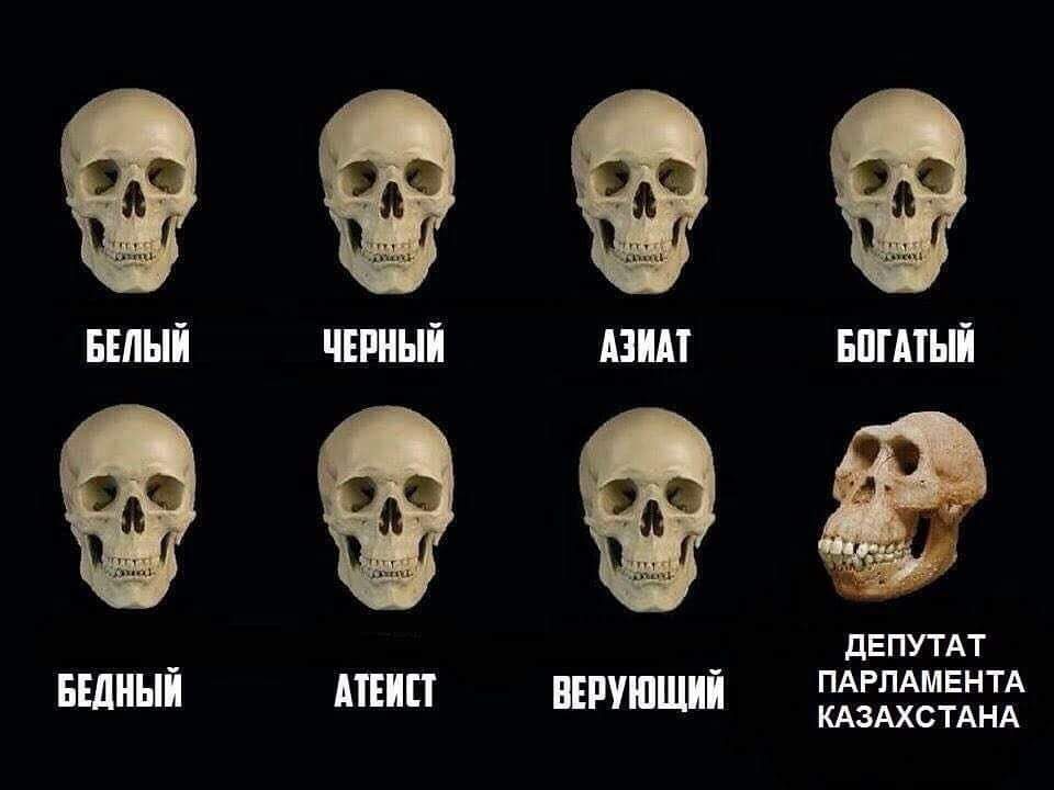 Курилка- разговоры на любые темы - Бодибилдинг форум AnabolicShops