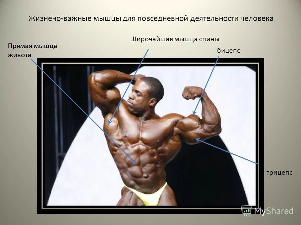 Farma-sklad надежный магазин - Бодибилдинг форум AnabolicShops