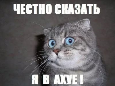 Магазинчик Чая - Бодибилдинг форум AnabolicShops