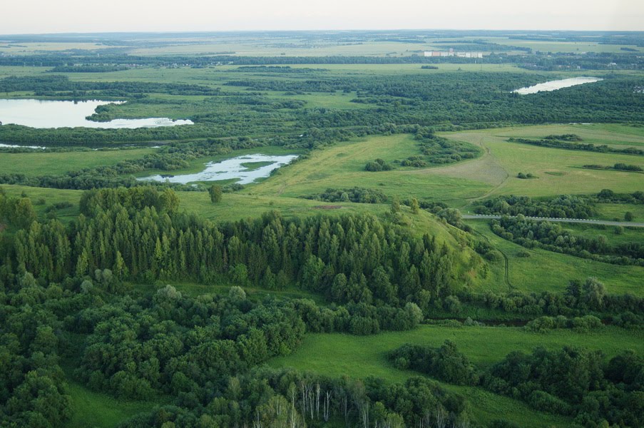 Магазинчик Чая - Бодибилдинг форум AnabolicShops