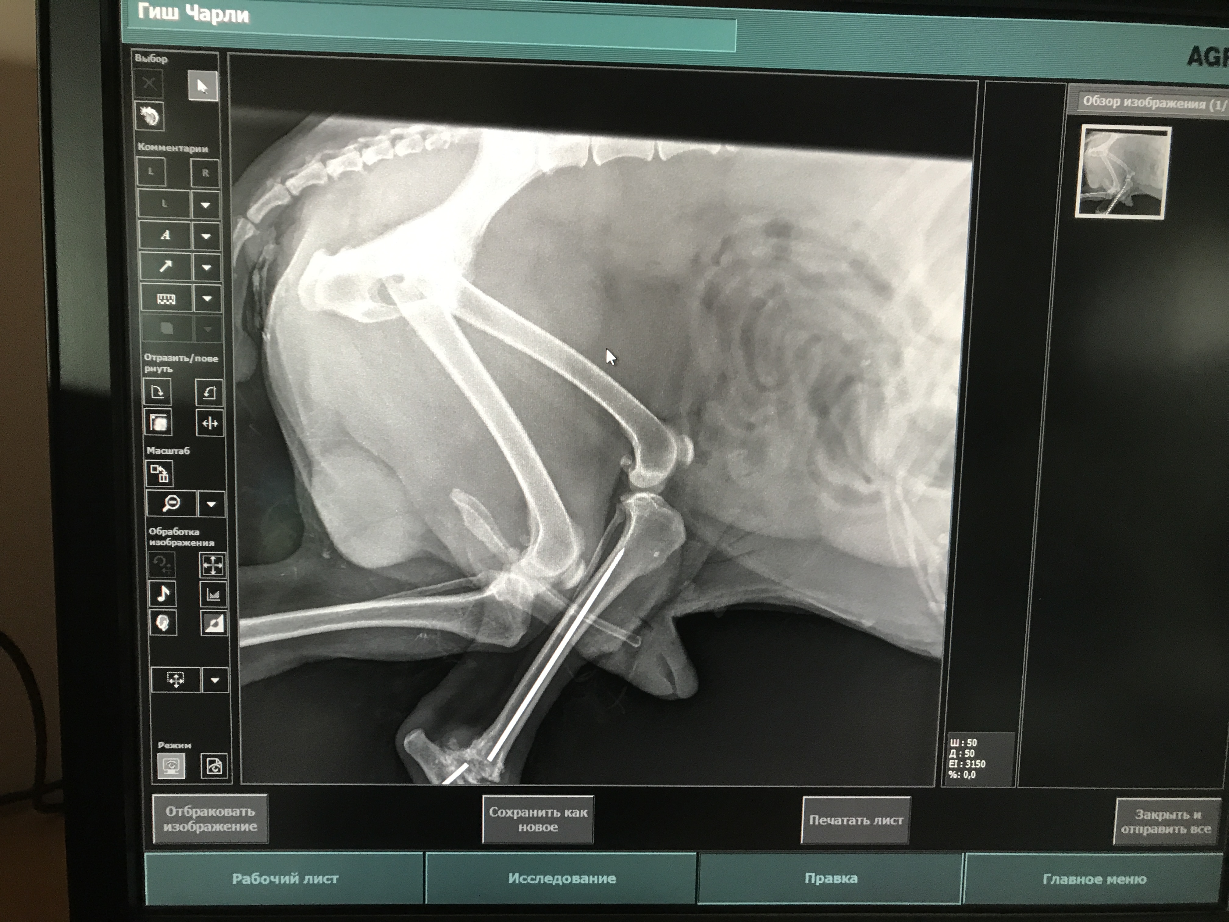Ветка уролога (экспериментальная) - Бодибилдинг форум AnabolicShops