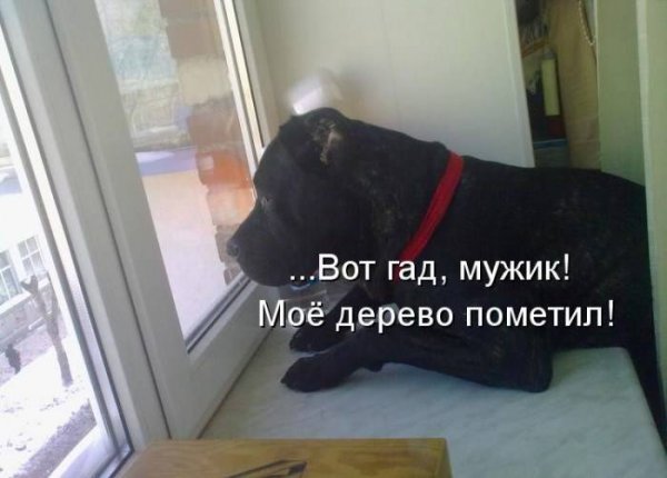 Анекдоты обо всем - Бодибилдинг форум AnabolicShops