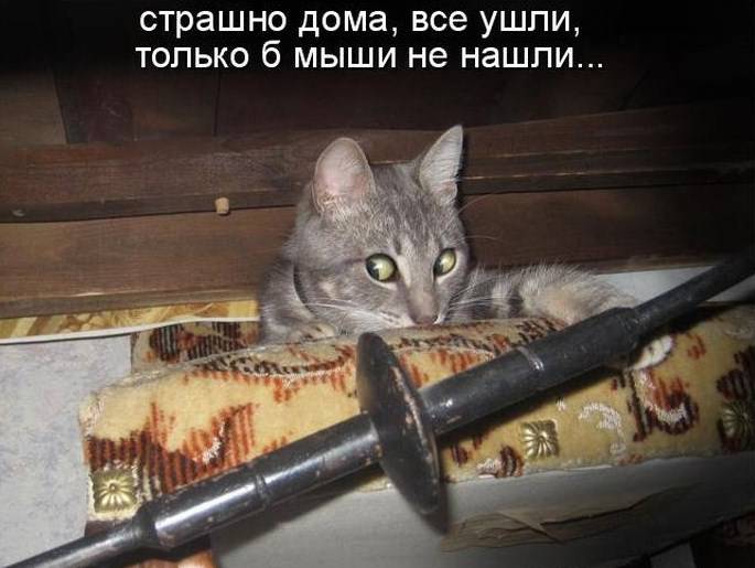 Анекдоты обо всем - Бодибилдинг форум AnabolicShops