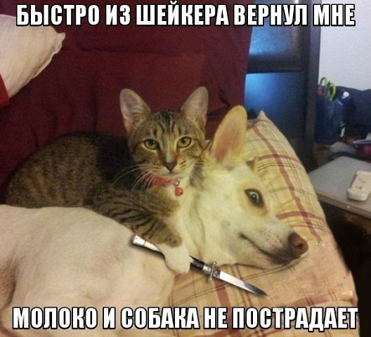 Анекдоты обо всем - Бодибилдинг форум AnabolicShops