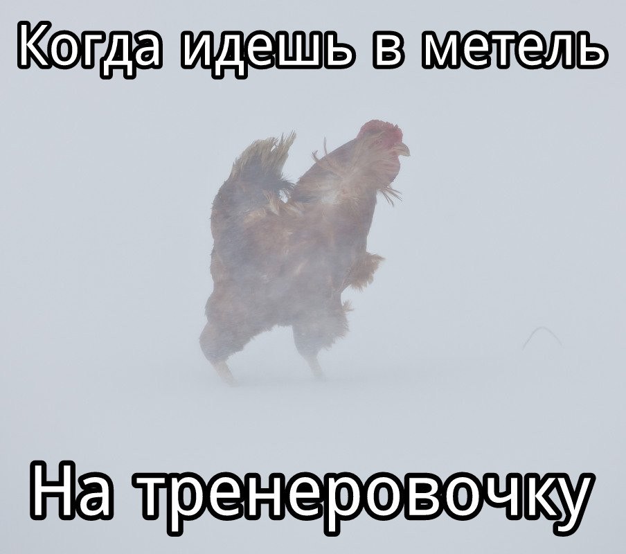 Курилка- разговоры на любые темы - Бодибилдинг форум AnabolicShops