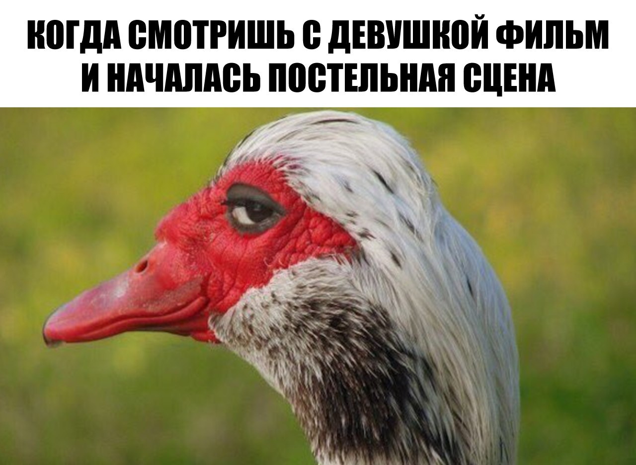 Анекдоты обо всем - Бодибилдинг форум AnabolicShops