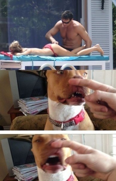 Анекдоты обо всем - Бодибилдинг форум AnabolicShops