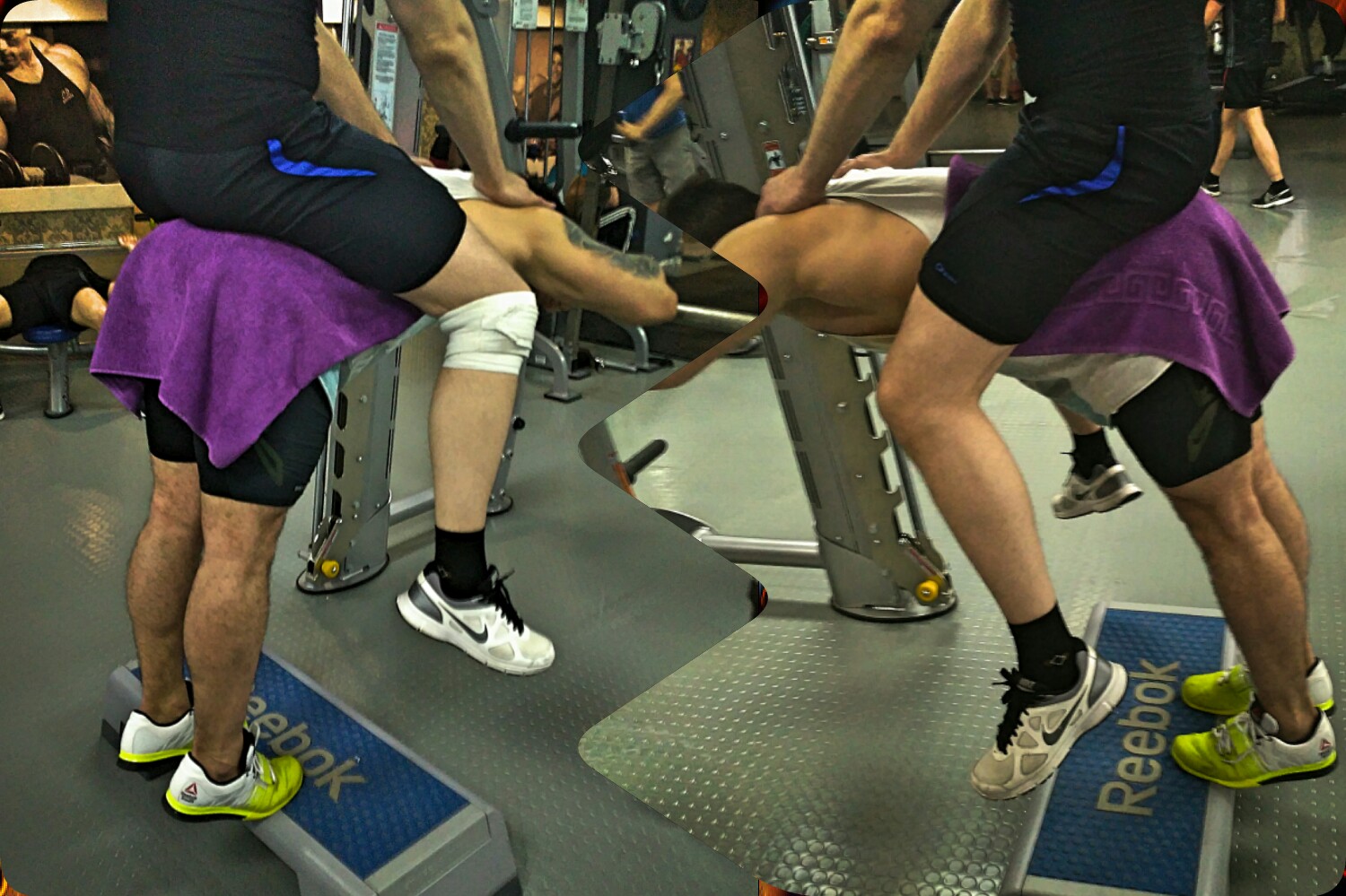 Подготовка на осень 2017г - Бодибилдинг форум AnabolicShops