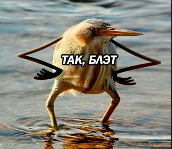 Курилка- разговоры на любые темы - Бодибилдинг форум AnabolicShops