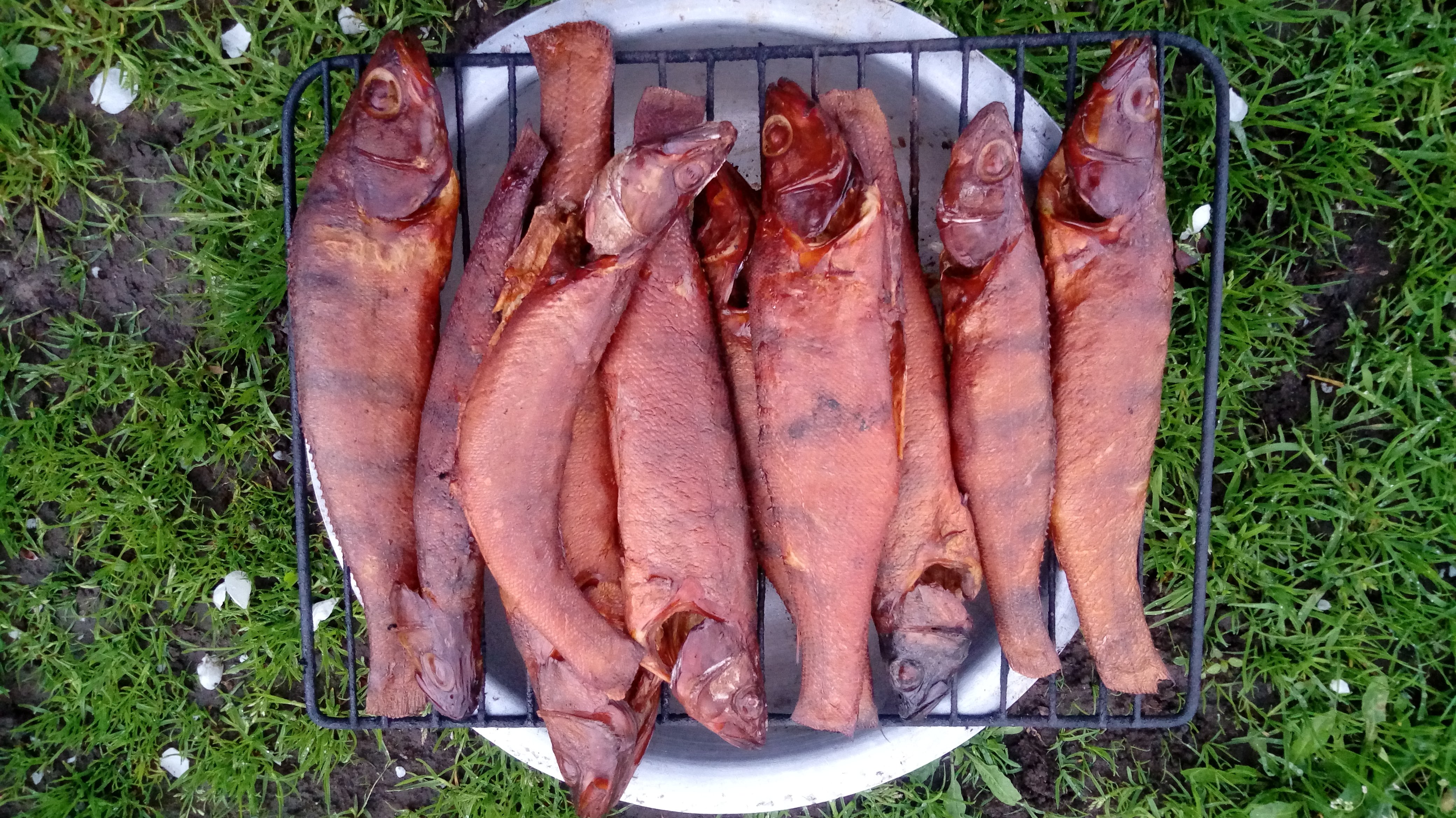 ЕШЬ ТВОРОГ ЖМИ 340 - Бодибилдинг форум AnabolicShops