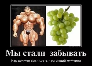 Конкурс от DANABOL.PW & UFC-PHARM! 60 000 руб. ПРИЗЫ! - Бодибилдинг форум AnabolicShops
