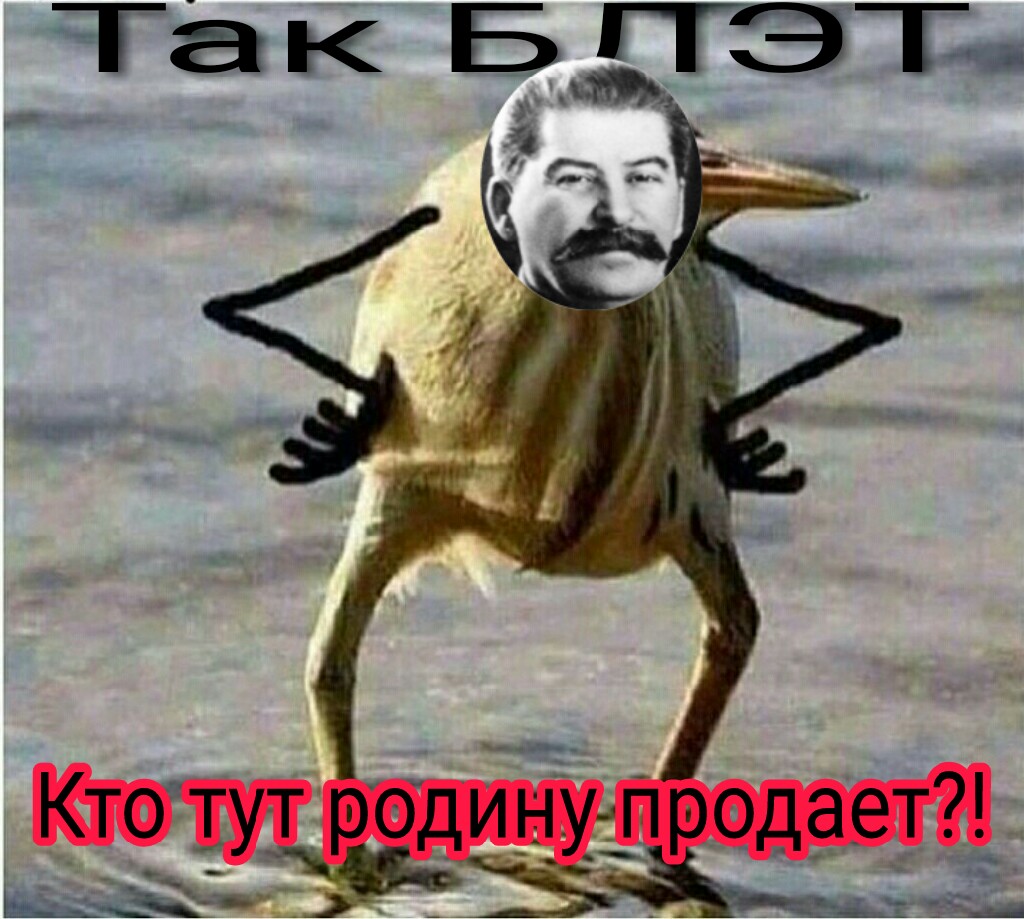 мнение о применении СИНТОЛА - Бодибилдинг форум AnabolicShops