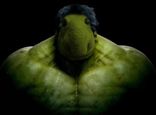 Магазин Фрэнка. Pharmacom Labs Official. Марка №1 в Мире! - Бодибилдинг форум AnabolicShops