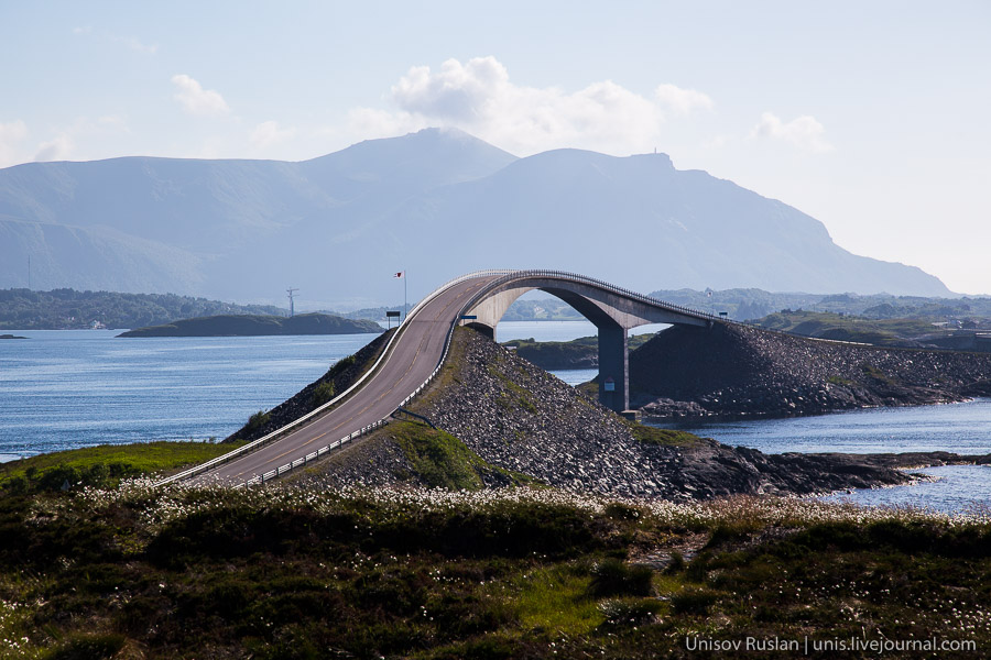 Блокировка Telegramm - Бодибилдинг форум AnabolicShops