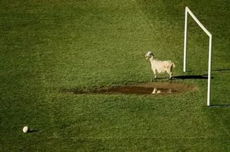 Магазин Фрэнка. Pharmacom Labs Official. Марка №1 в Мире! - Бодибилдинг форум AnabolicShops