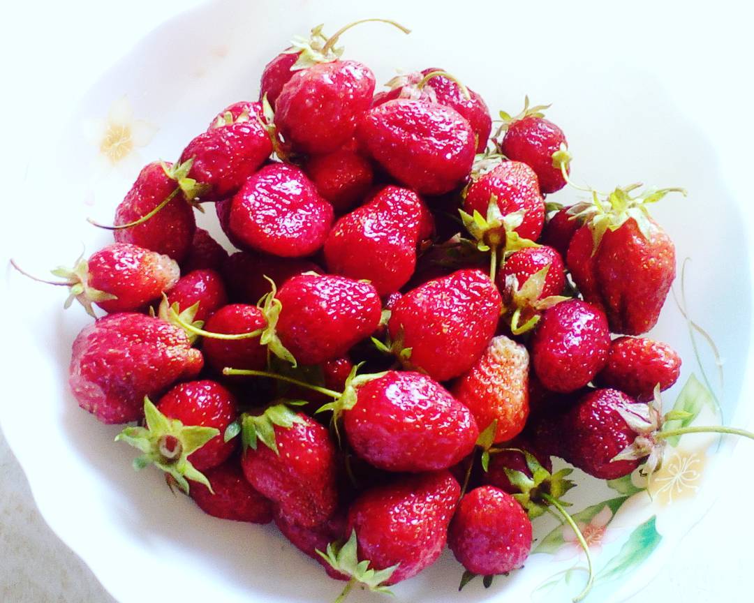 Ufc Pharm - Бодибилдинг форум AnabolicShops