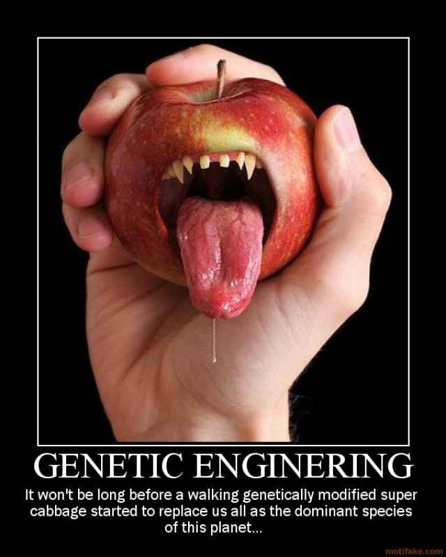 Fruitlabs.org   Всегда отличные цены, отменное качество и быстрые отправки ! - Бодибилдинг форум AnabolicShops