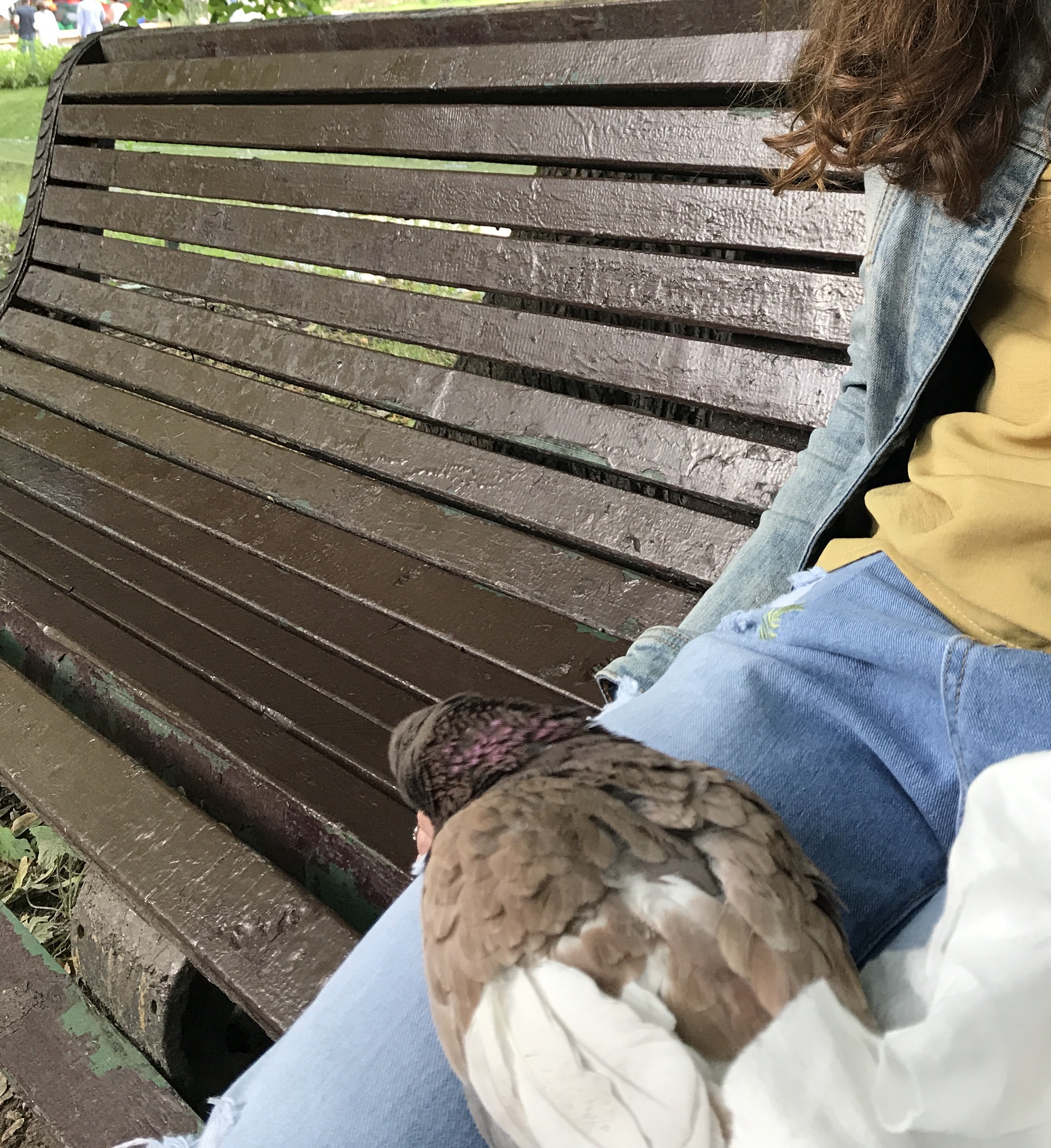 Магазинчик Чая - Бодибилдинг форум AnabolicShops