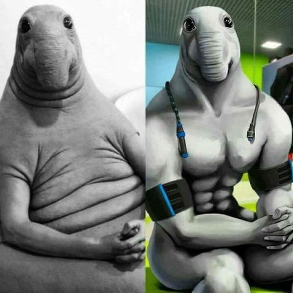 IApply® на йух с пляжу - Бодибилдинг форум AnabolicShops