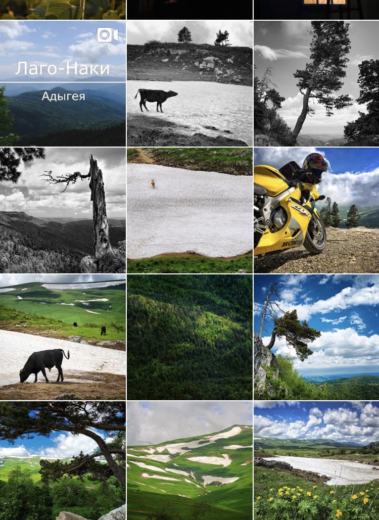 Магазинчик Чая - Бодибилдинг форум AnabolicShops