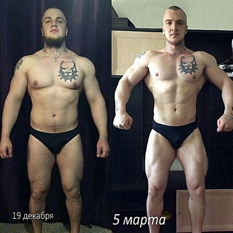 Training cycles (TSpecPS)|by moff - Бодибилдинг форум AnabolicShops