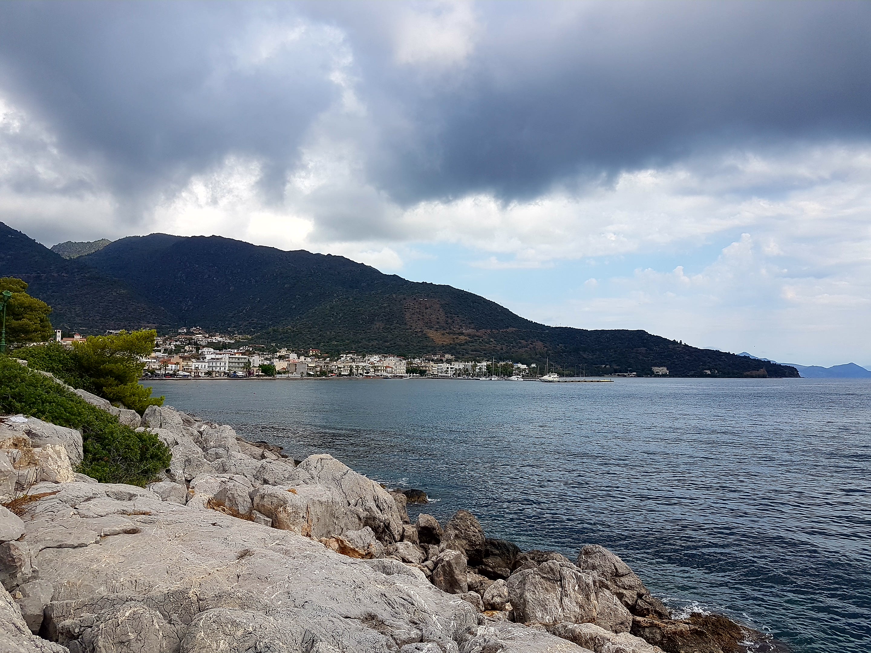 Thomas&Co - Медицинское качество. - Бодибилдинг форум AnabolicShops