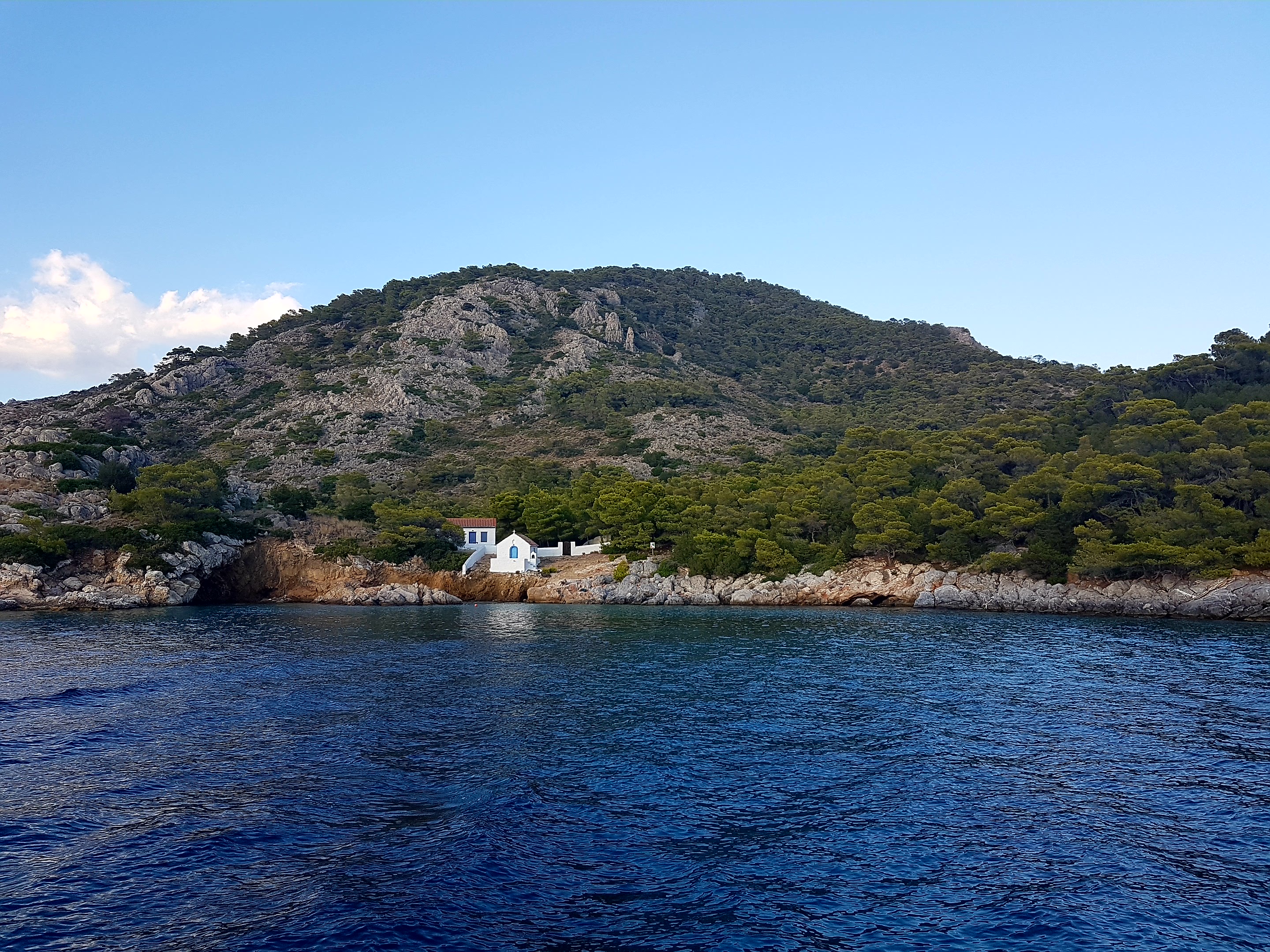 Thomas&Co - Медицинское качество. - Бодибилдинг форум AnabolicShops