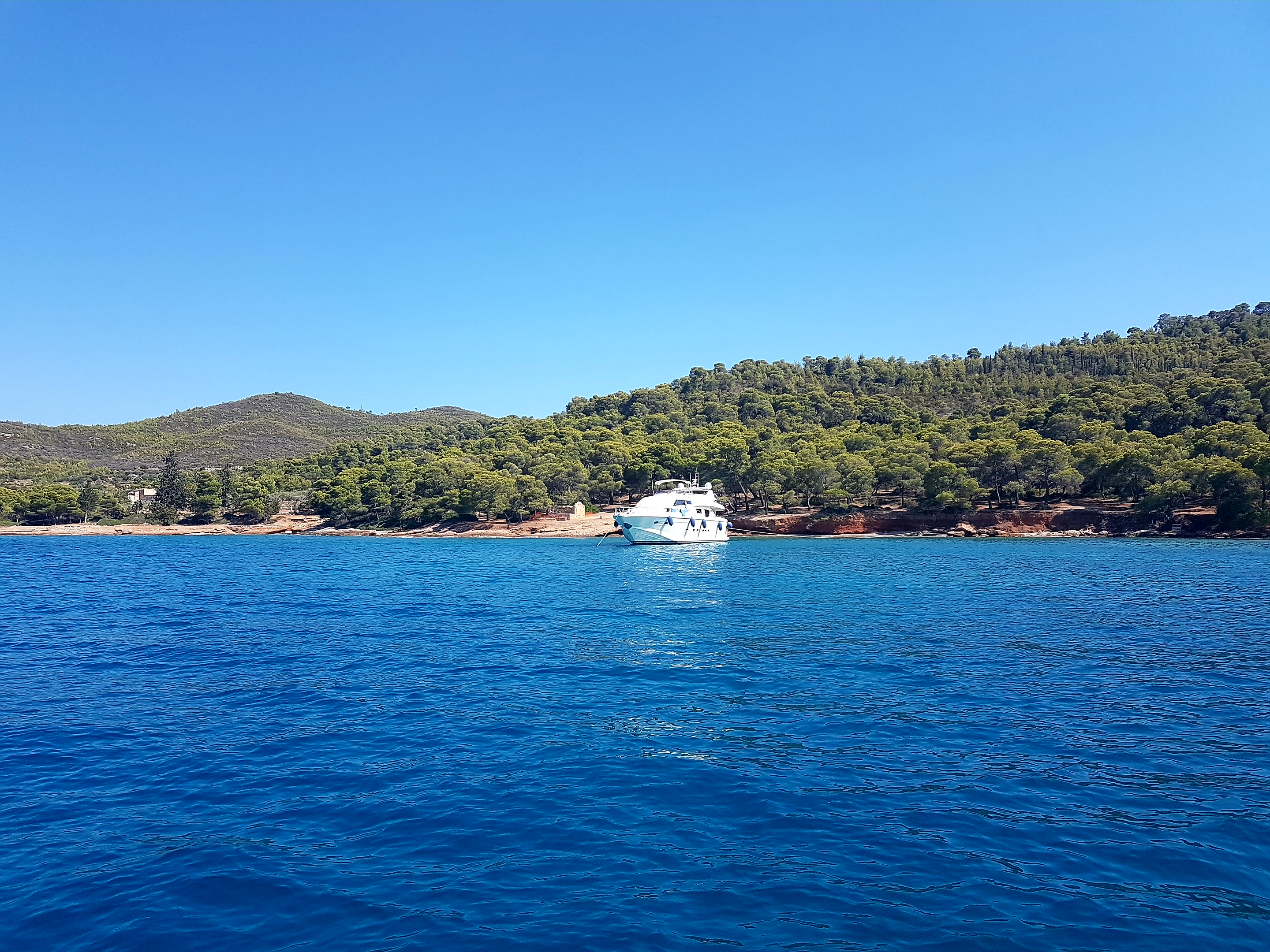 Thomas&Co - Медицинское качество. - Бодибилдинг форум AnabolicShops