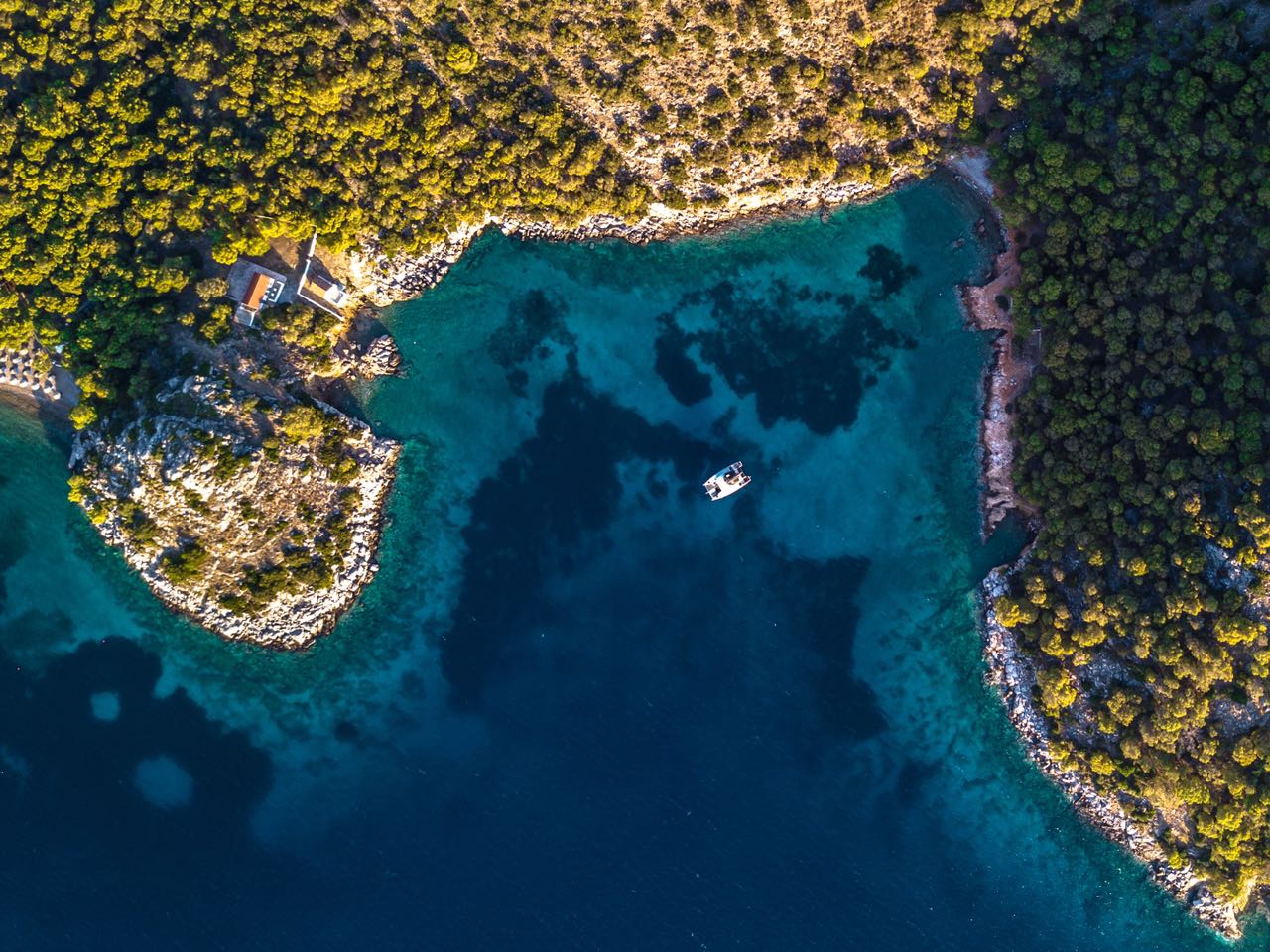 Thomas&Co - Медицинское качество. - Бодибилдинг форум AnabolicShops