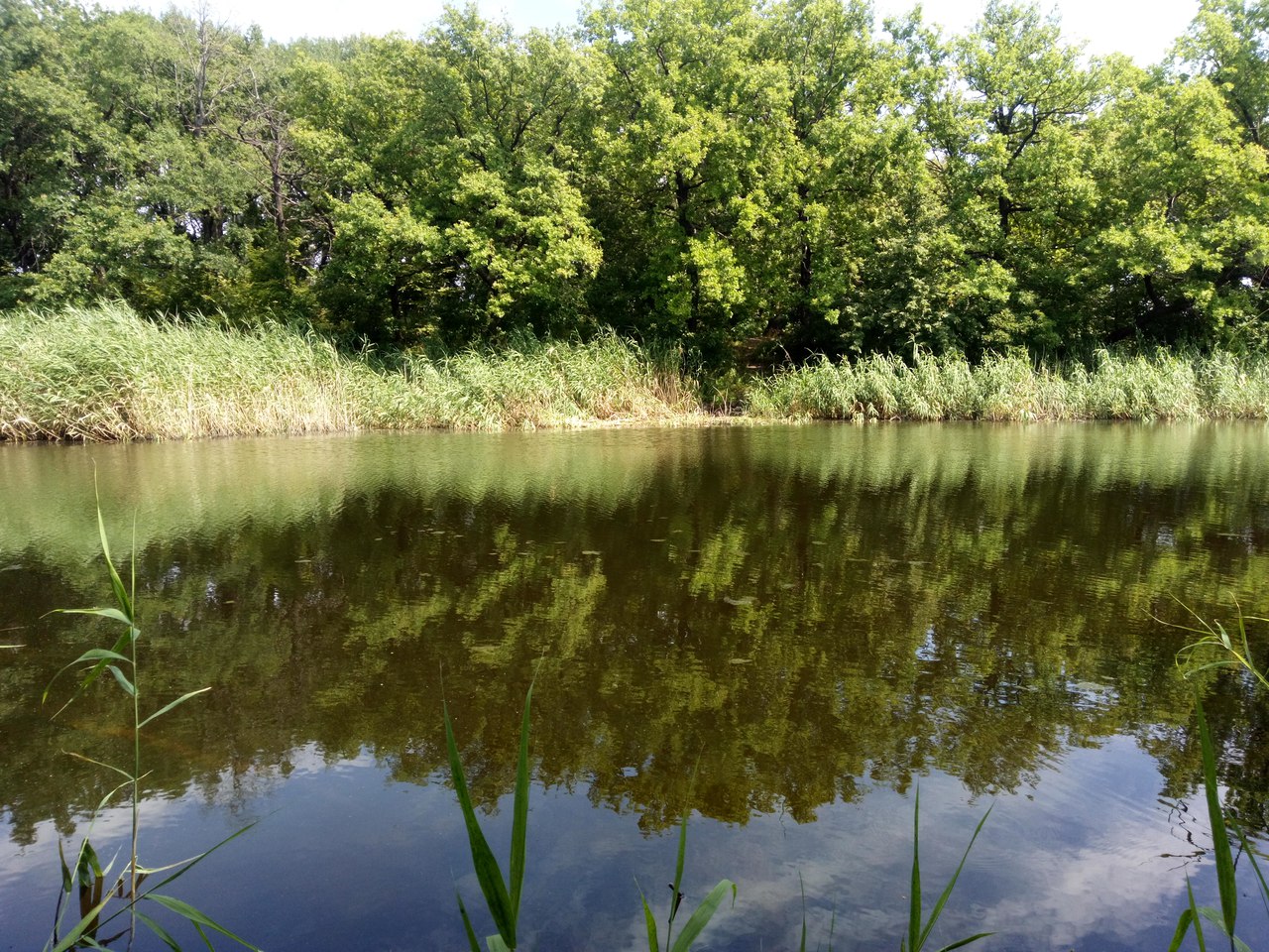 GOODPHARMA.BIZ -  Официальный представитель Vermodje и EPF ! - Бодибилдинг форум AnabolicShops