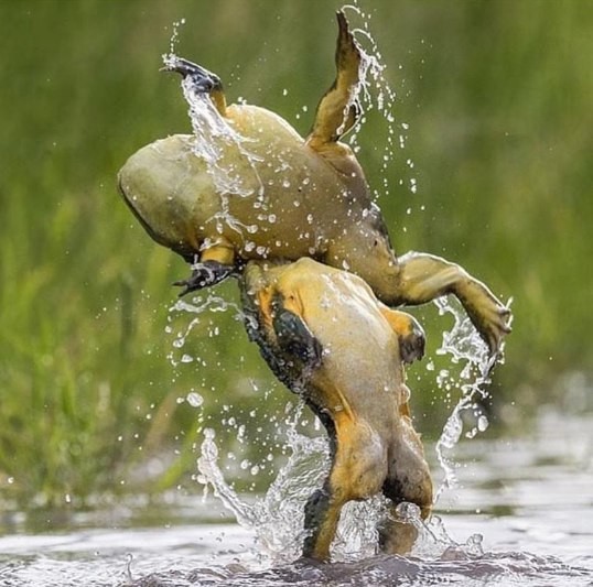 Farma-sklad надежный магазин - Бодибилдинг форум AnabolicShops