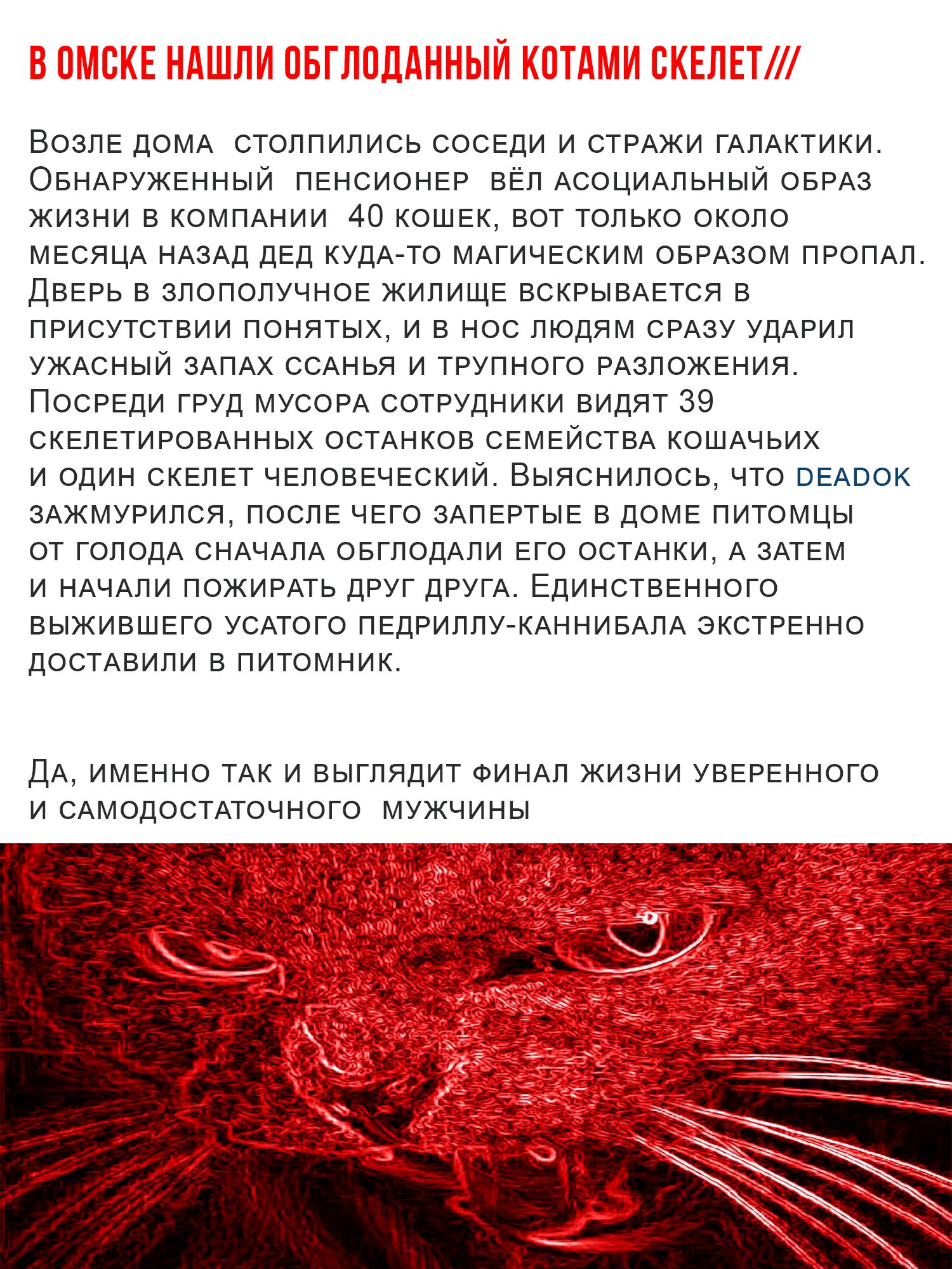 Почему веганы такие тупые? - Бодибилдинг форум AnabolicShops