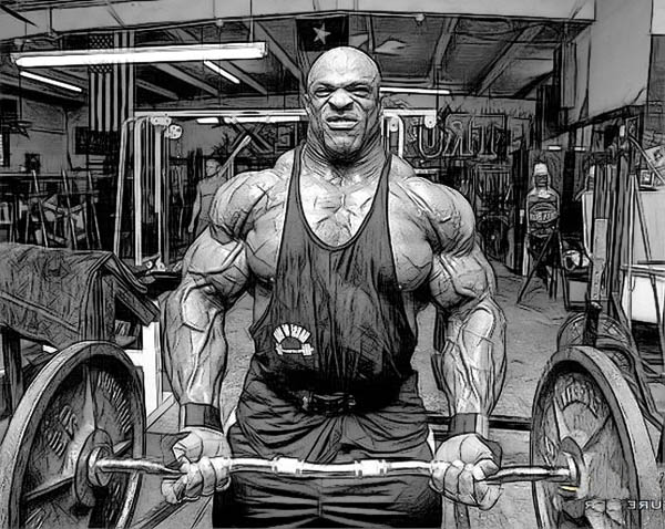 Тренировки на курсе - Бодибилдинг форум AnabolicShops