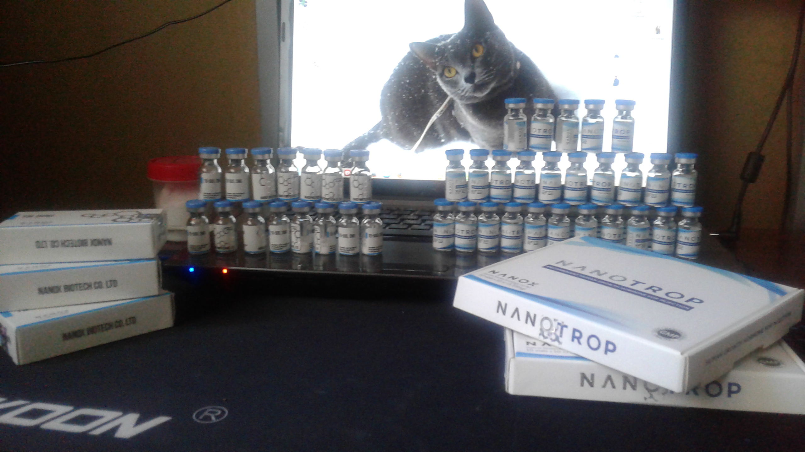 Витрина Анатолия Самого. - Бодибилдинг форум AnabolicShops