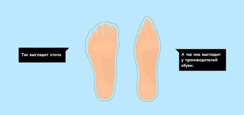 IApply™ Пресс на осень - УМНО! - Бодибилдинг форум AnabolicShops