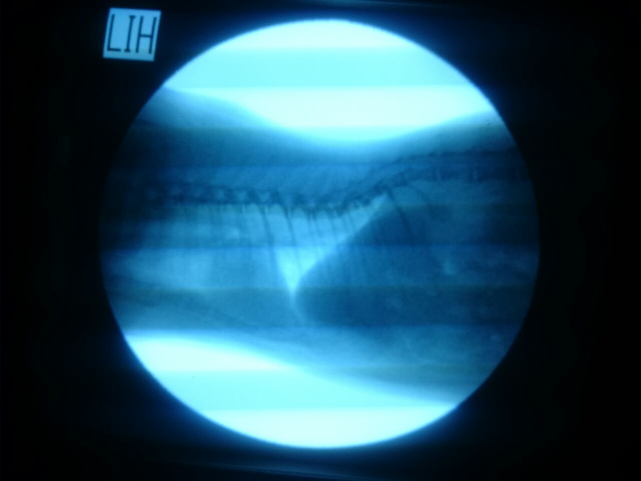 Требуется помощь - Бодибилдинг форум AnabolicShops