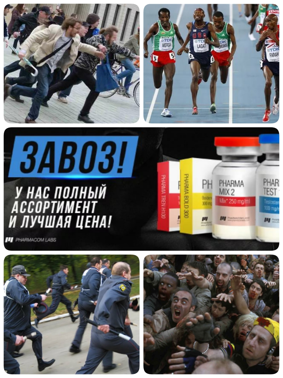 RUN, КОЧКА, RUN. - Бодибилдинг форум AnabolicShops