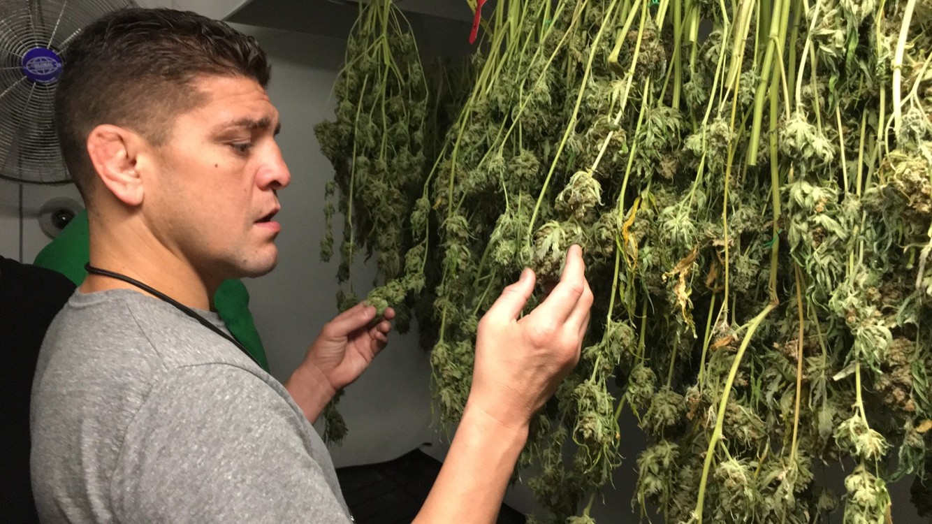 МакГрегор VS Мейвезер - Угадай исход получи 5000руб. - Бодибилдинг форум AnabolicShops