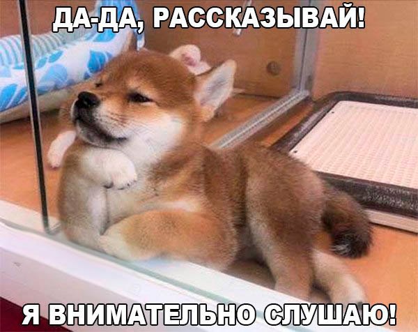 Metanhouse.biz - временно не заказывать! - Бодибилдинг форум AnabolicShops