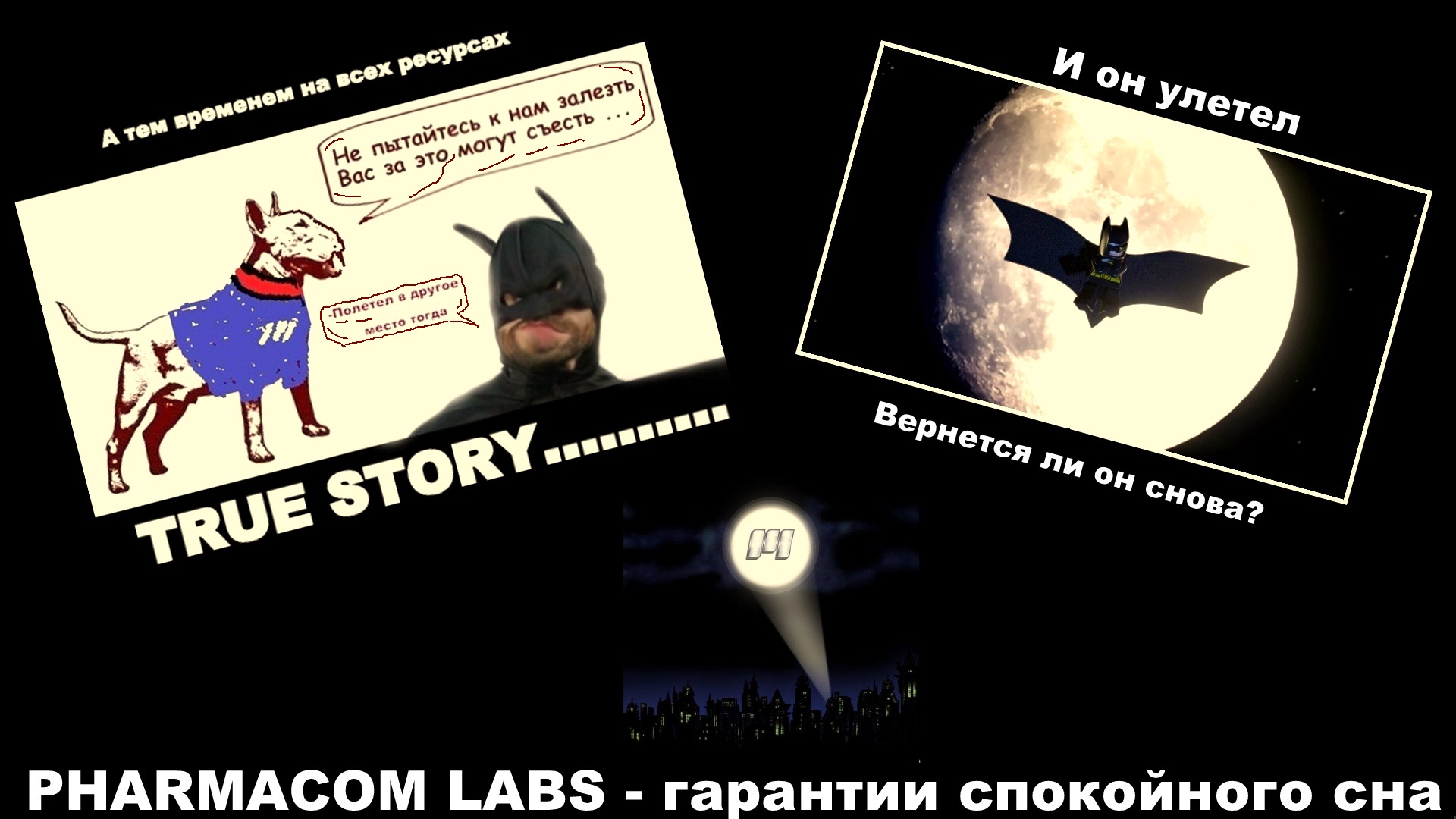 RUN, КОЧКА, RUN. - Бодибилдинг форум AnabolicShops