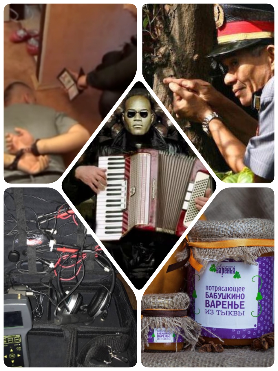 RUN, КОЧКА, RUN. - Бодибилдинг форум AnabolicShops