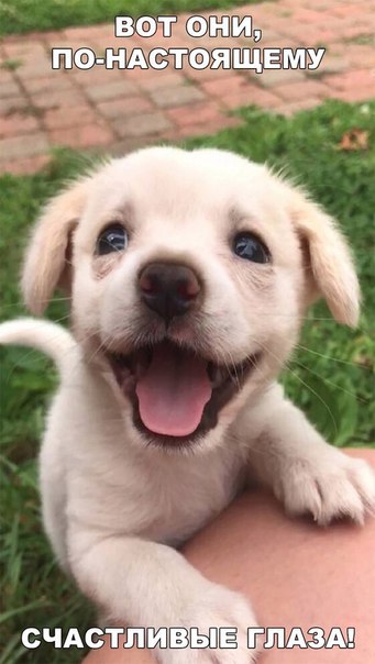 Metanhouse.biz - временно не заказывать! - Бодибилдинг форум AnabolicShops