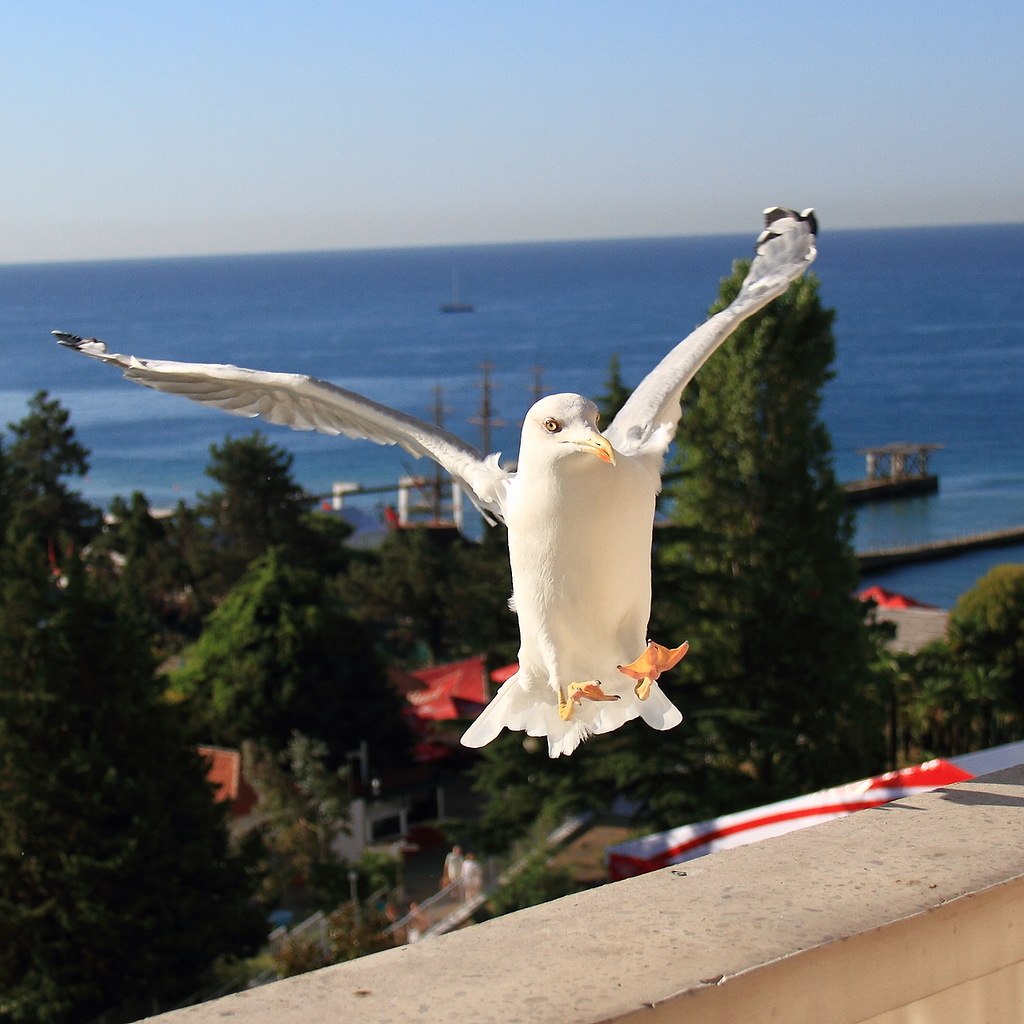 Курилка- разговоры на любые темы - Бодибилдинг форум AnabolicShops